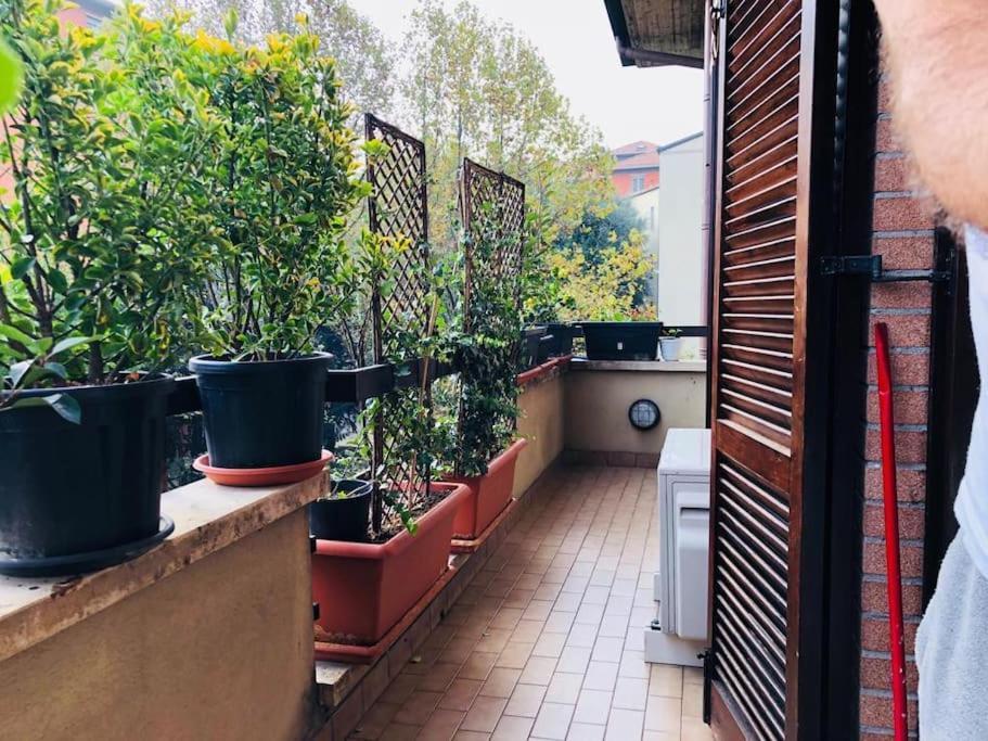 Ketty House B&B - Policlinico Di Monza, U-Power Stadium Eksteriør bilde