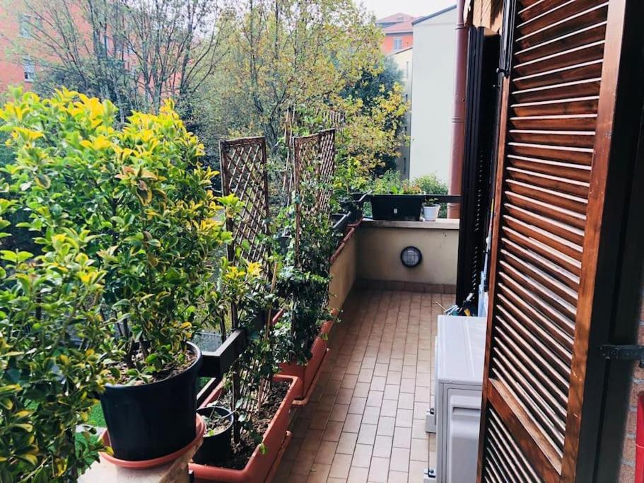 Ketty House B&B - Policlinico Di Monza, U-Power Stadium Eksteriør bilde